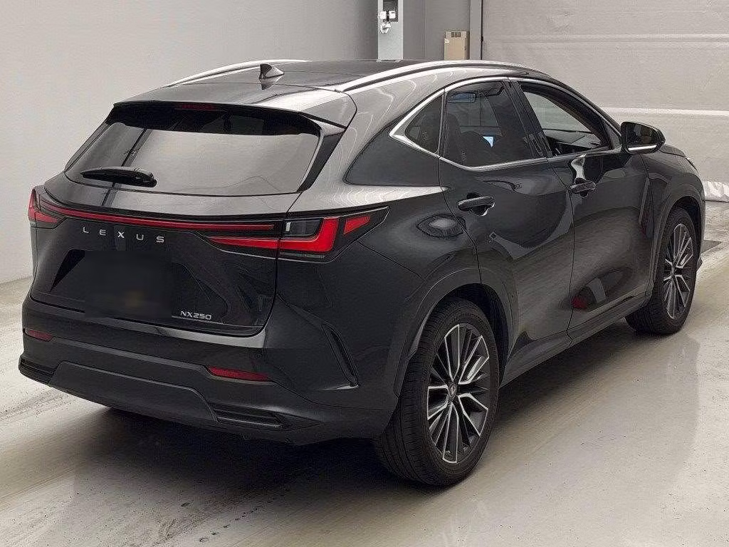 LEXUS NX250
