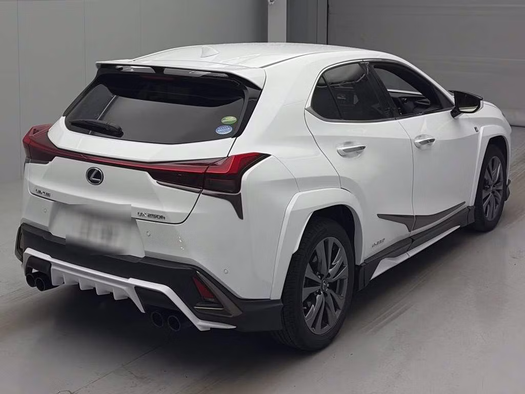 LEXUS UX250H