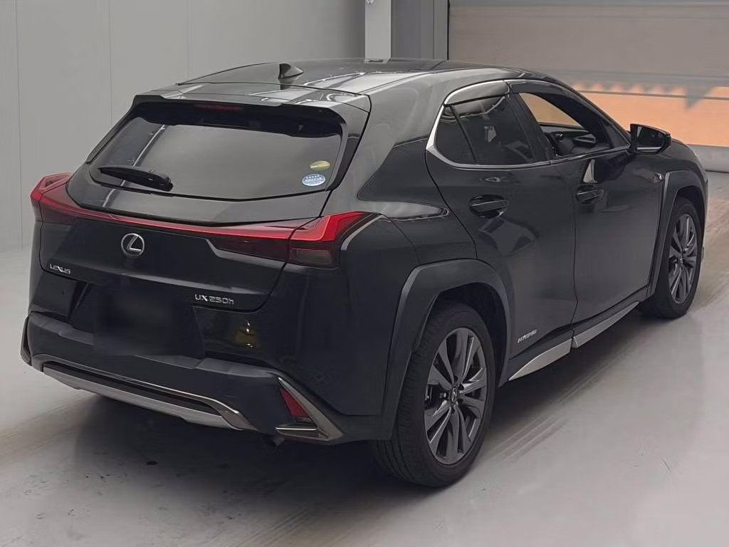 LEXUS UX250H
