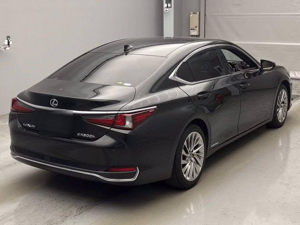 LEXUS ES300H