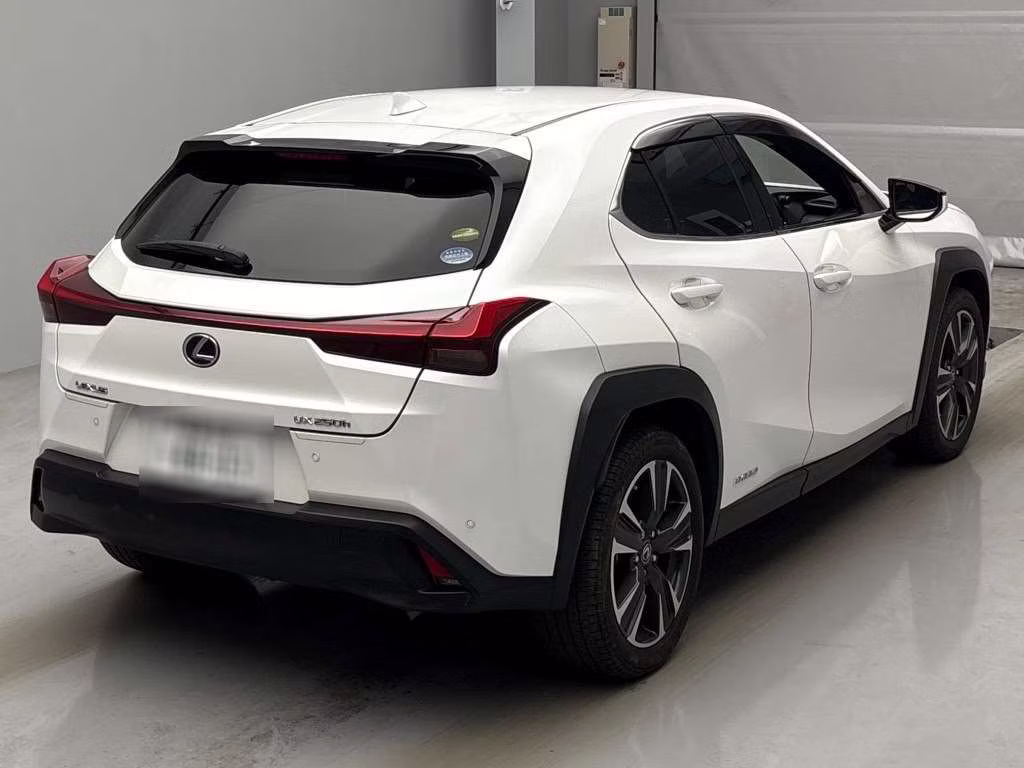 LEXUS UX250H