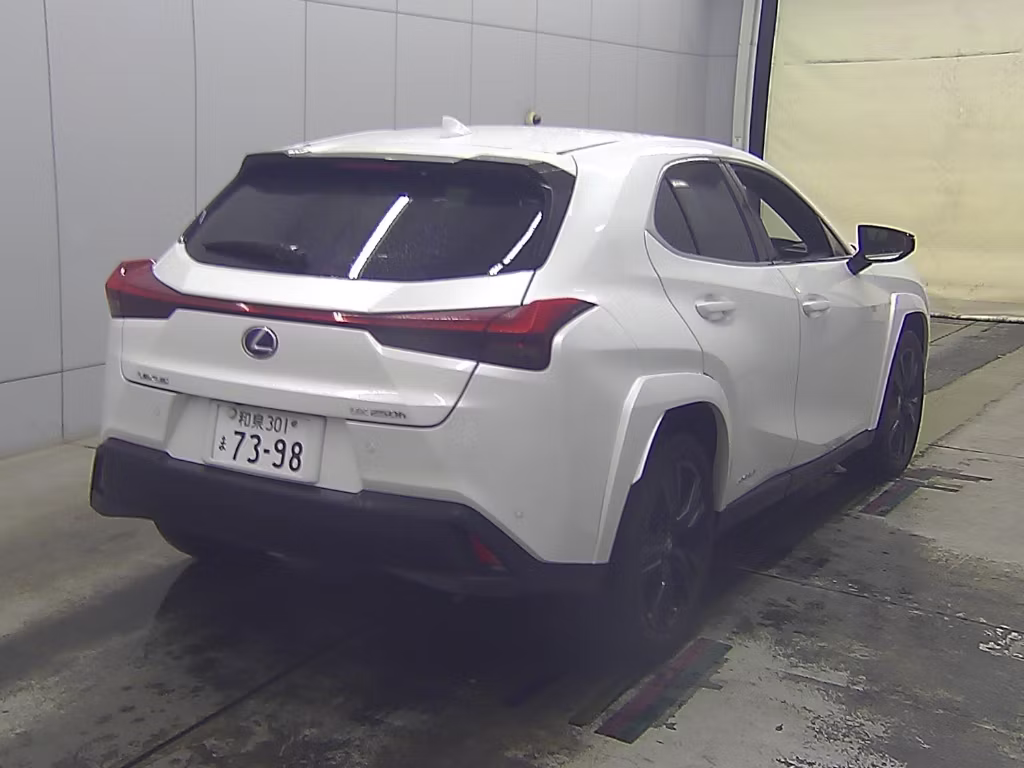 LEXUS UX250H