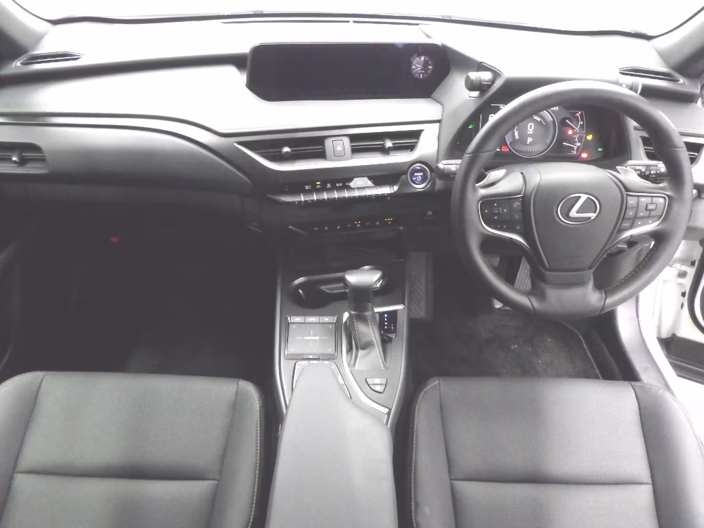 LEXUS UX250H