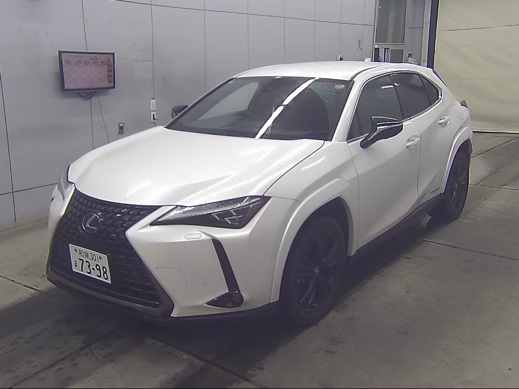 LEXUS UX250H