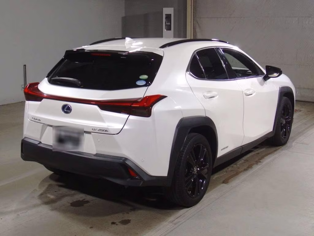 LEXUS UX250H