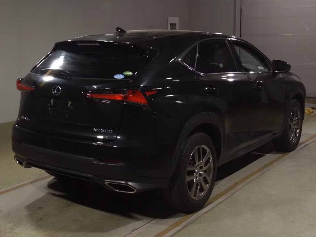 LEXUS NX300
