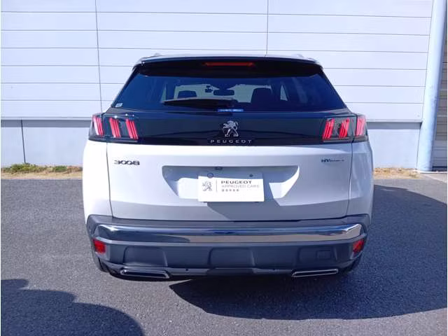 PEUGEOT 3008