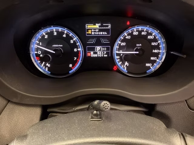 SUBARU LEVORG