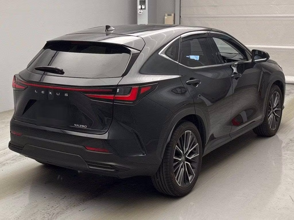 LEXUS NX250