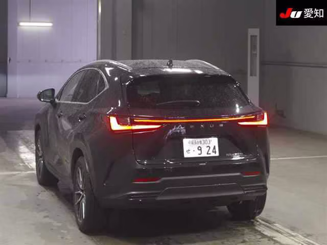 LEXUS NX450H+