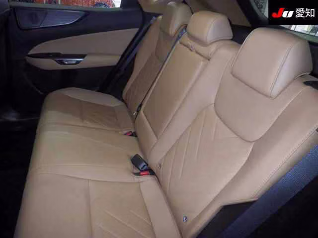 LEXUS NX450H+