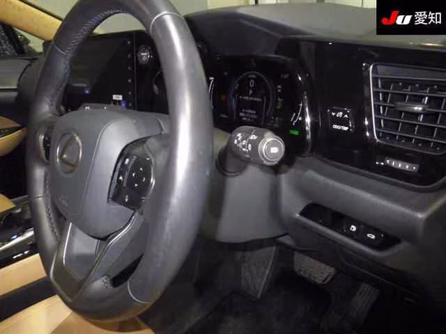 LEXUS NX450H+