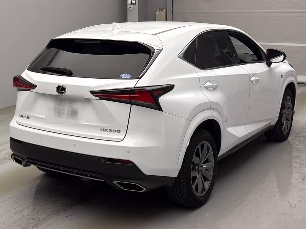 LEXUS NX300