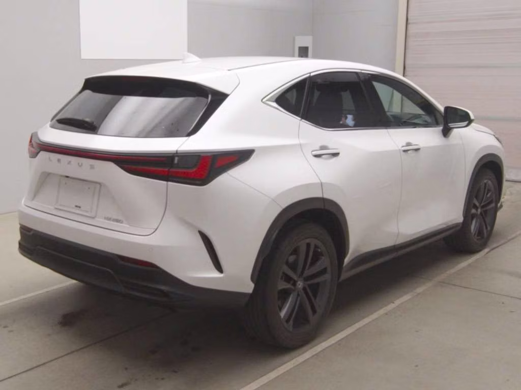LEXUS NX250