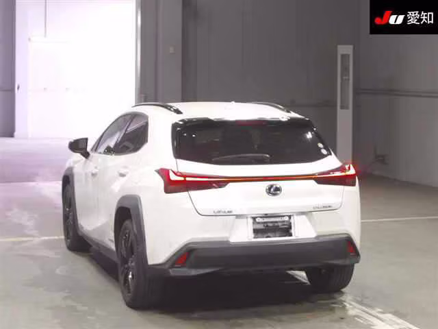 LEXUS UX250H