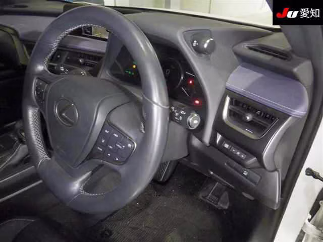 LEXUS UX250H