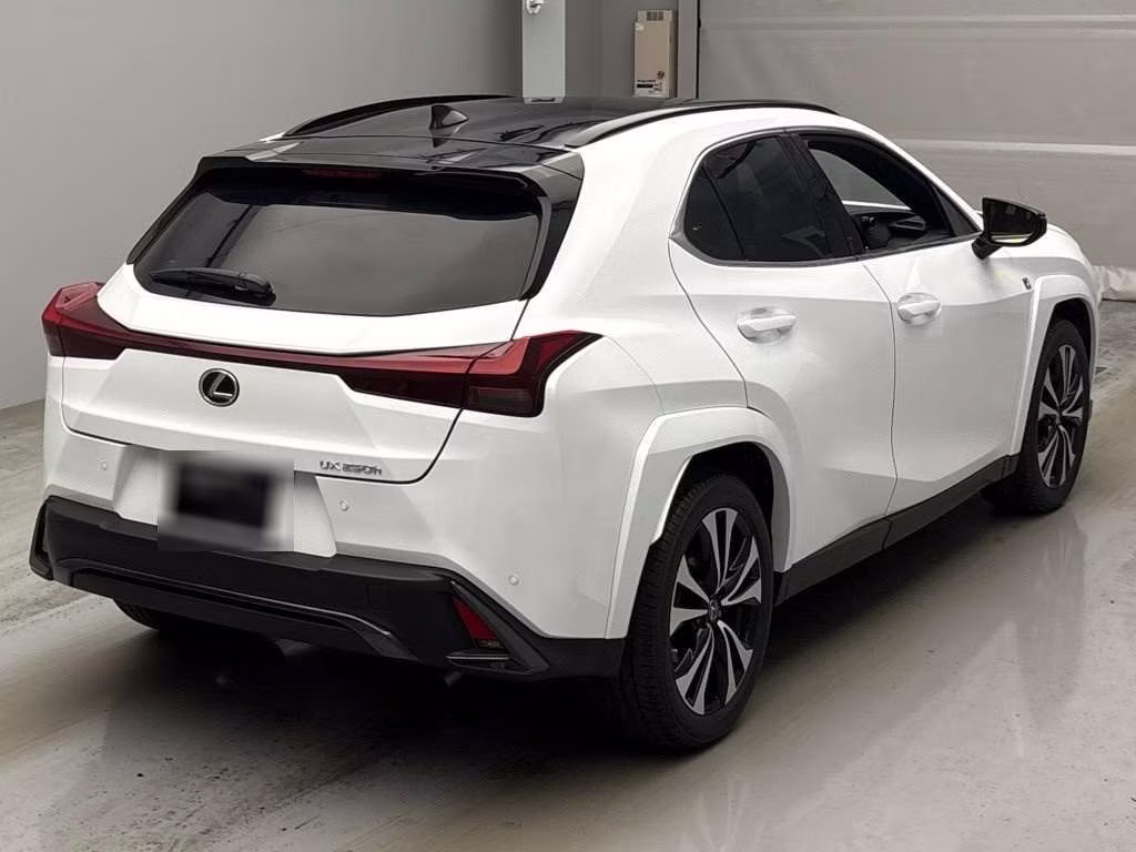 LEXUS UX250H