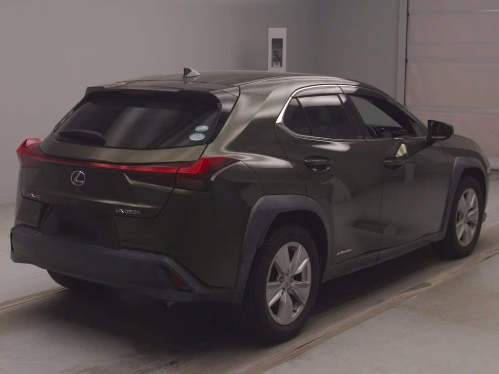 LEXUS UX250H