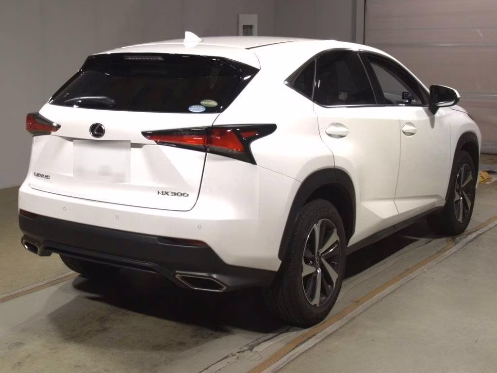 LEXUS NX300