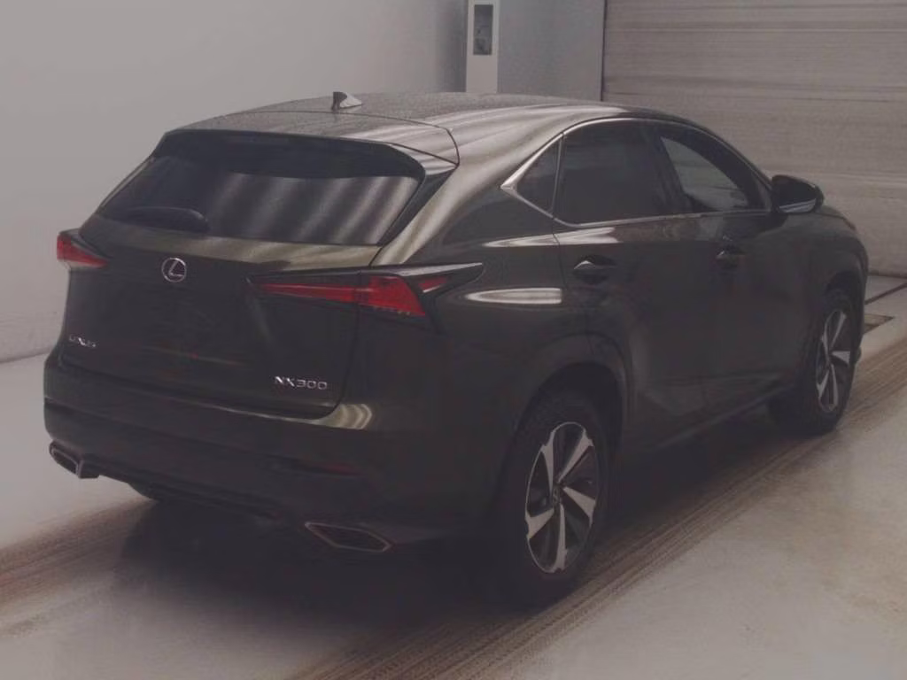 LEXUS NX300