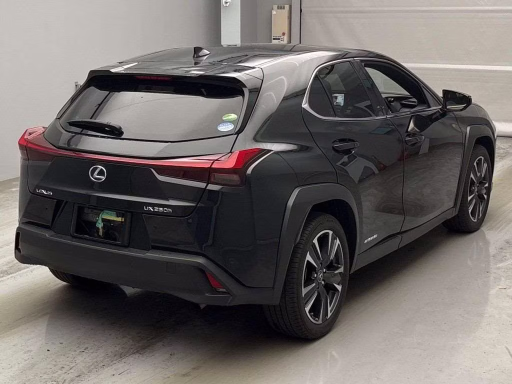 LEXUS UX250H