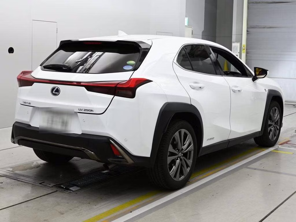 LEXUS UX250H