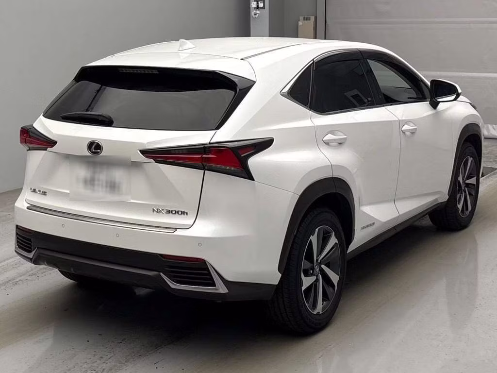 LEXUS NX300H
