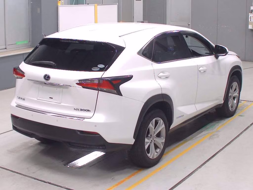 LEXUS NX300