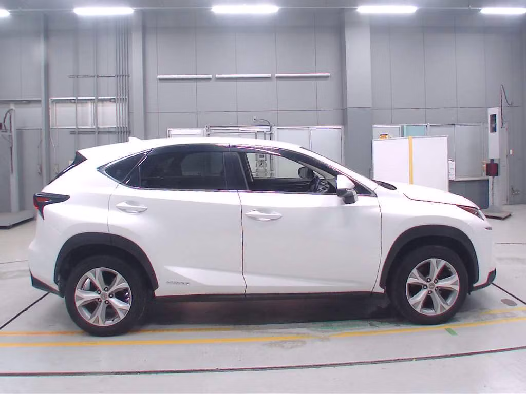 LEXUS NX300