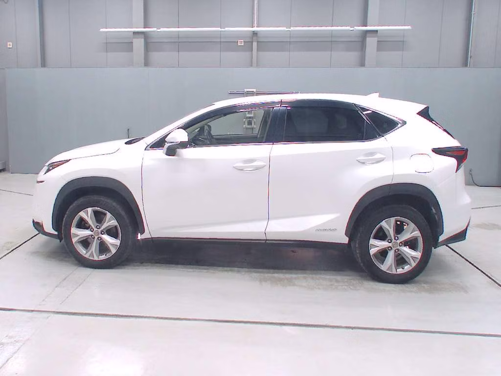 LEXUS NX300
