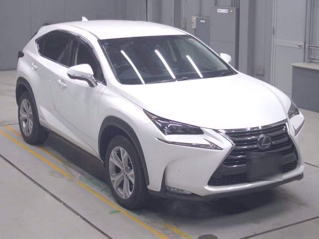 LEXUS NX300