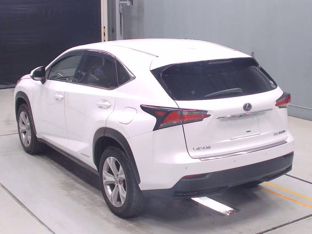 LEXUS NX300