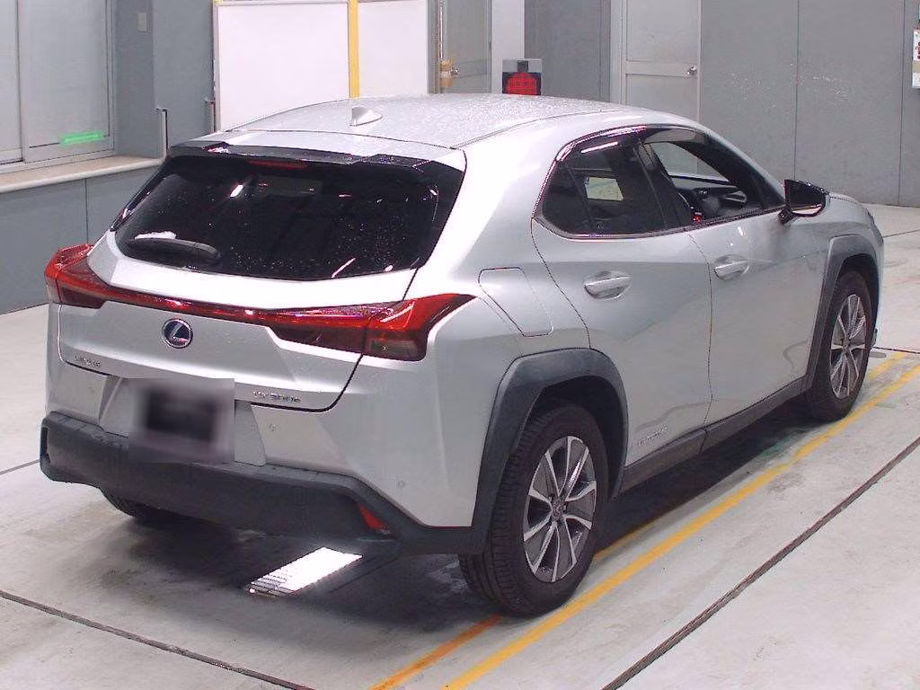 LEXUS UX300E