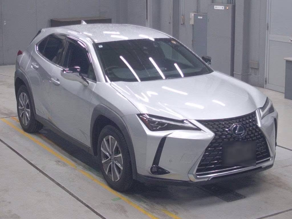 LEXUS UX300E