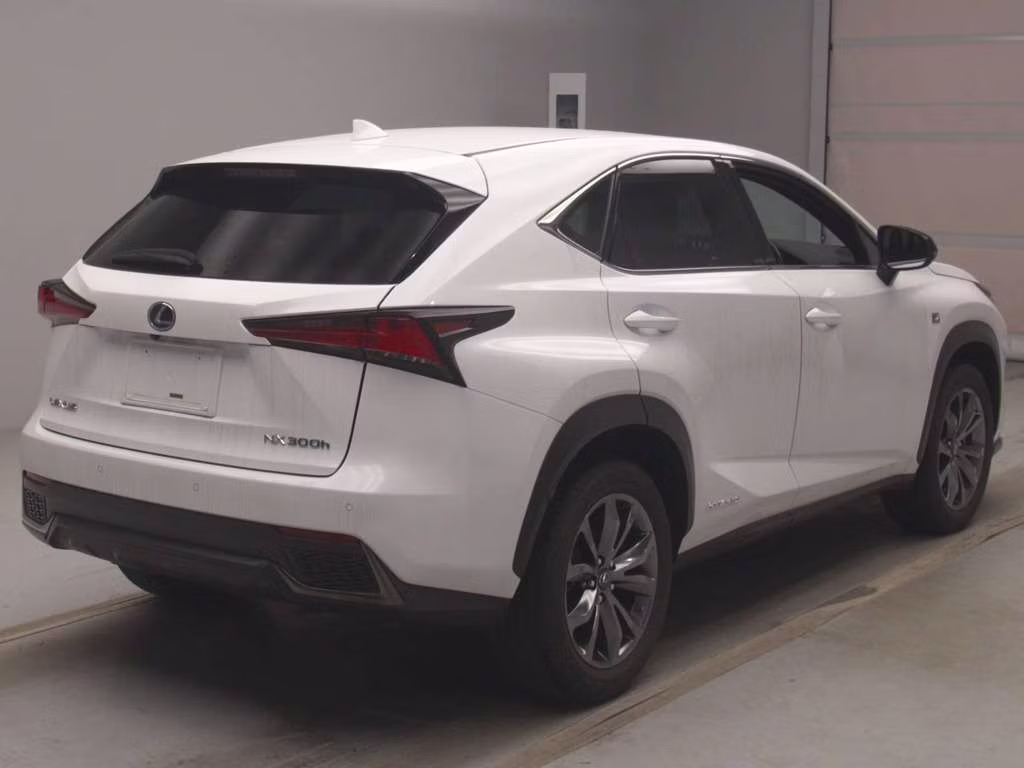 LEXUS NX300