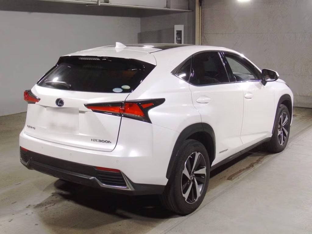 LEXUS NX300