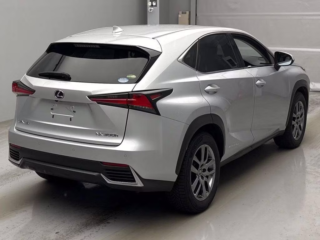 LEXUS NX300