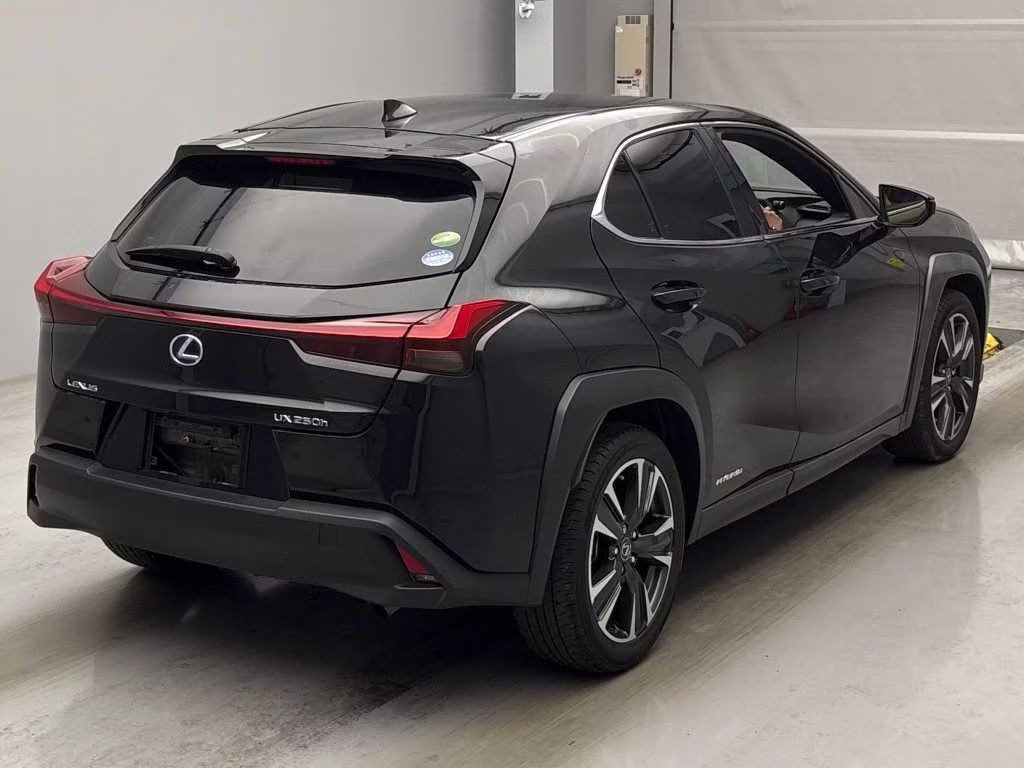 LEXUS UX250H