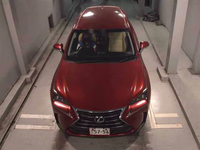 LEXUS NX200T