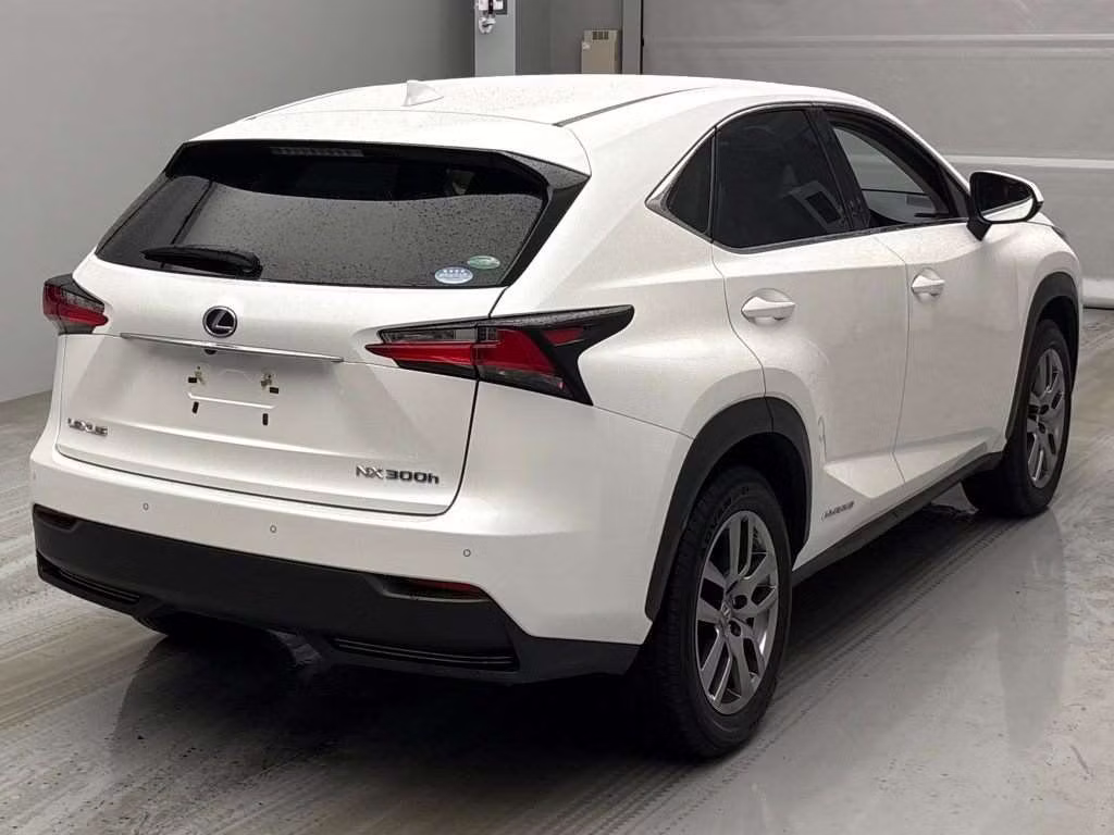 LEXUS NX300
