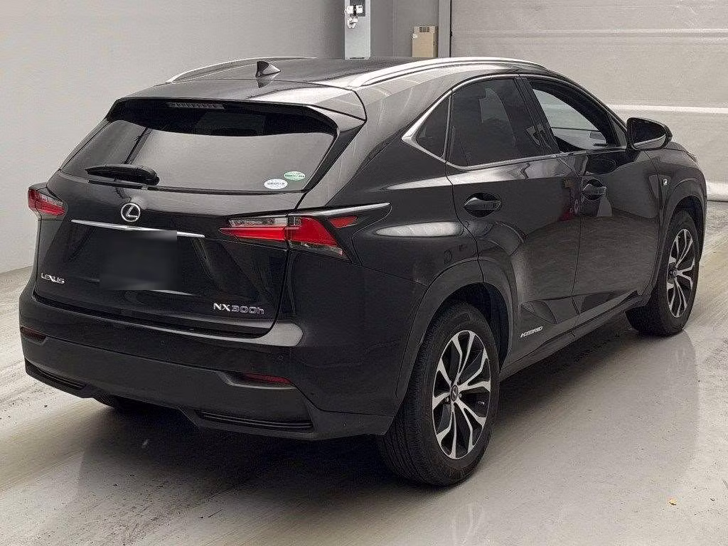 LEXUS NX300