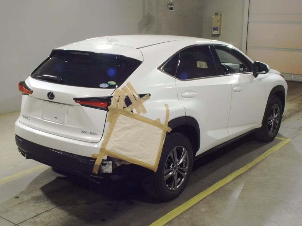 LEXUS NX300