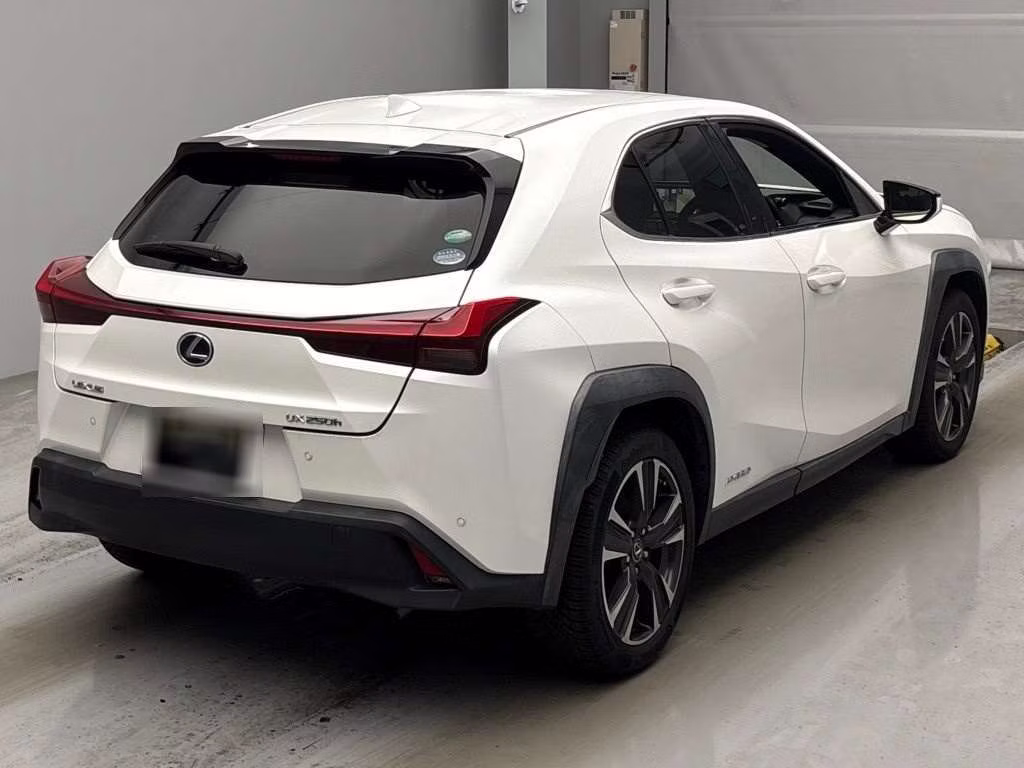 LEXUS UX250H
