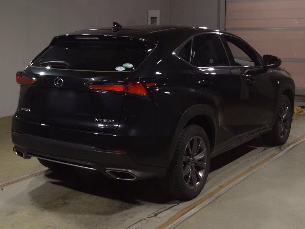 LEXUS NX300