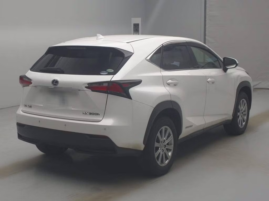 LEXUS NX300