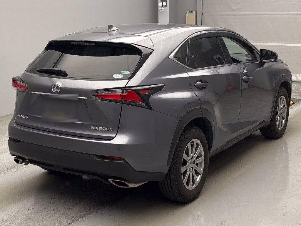 LEXUS NX300