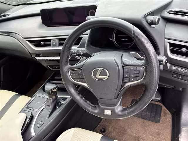 LEXUS UX200