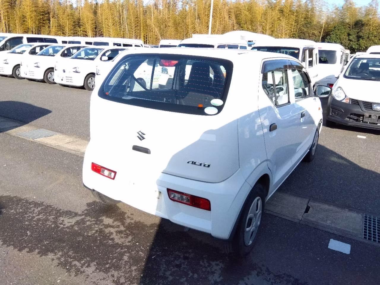 SUZUKI ALTO