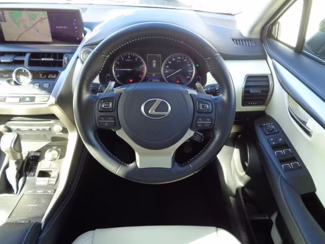 LEXUS NX300