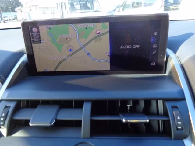 LEXUS NX300